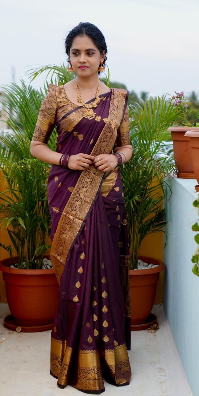 Soft silk saree prebook 🥳