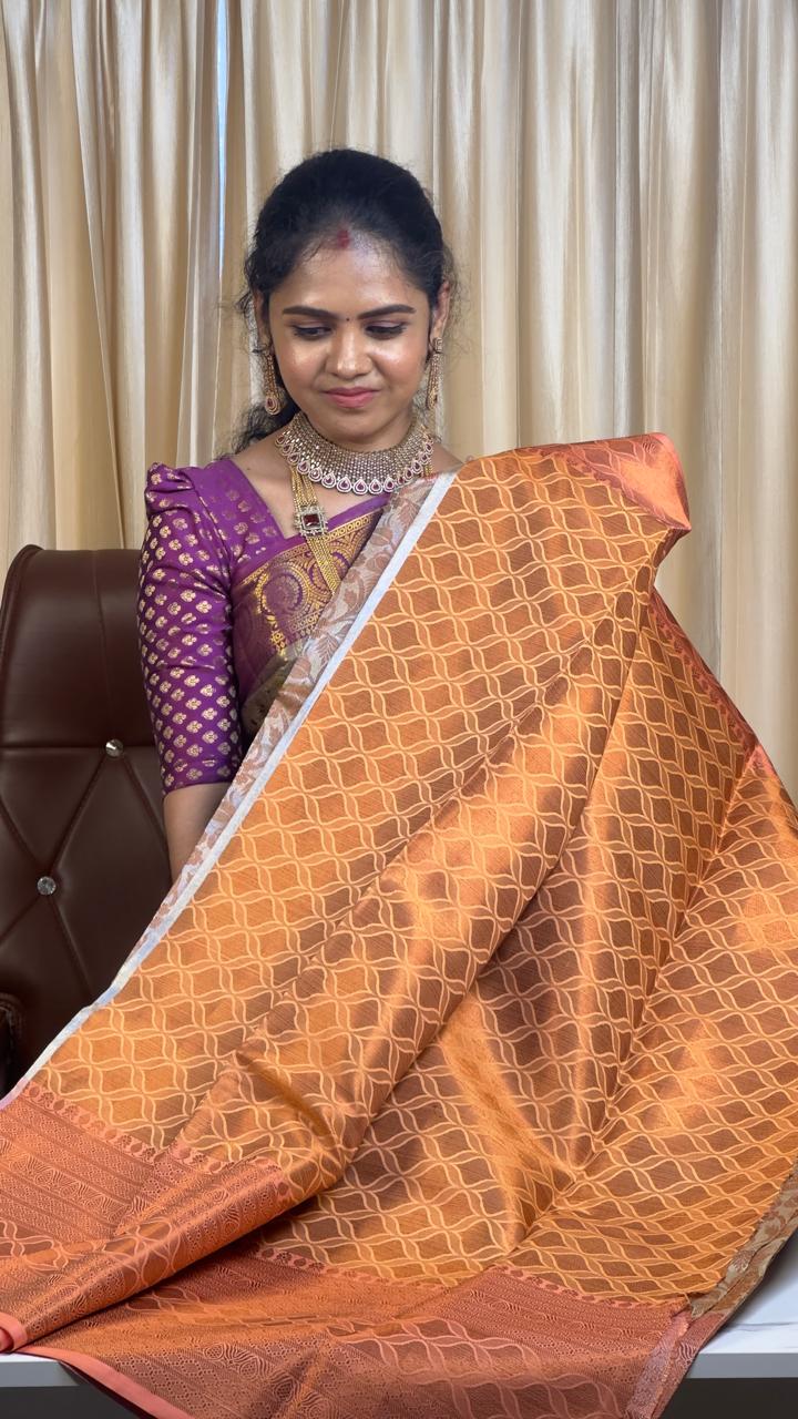 Katan tissue silk sarees prebook 🥳