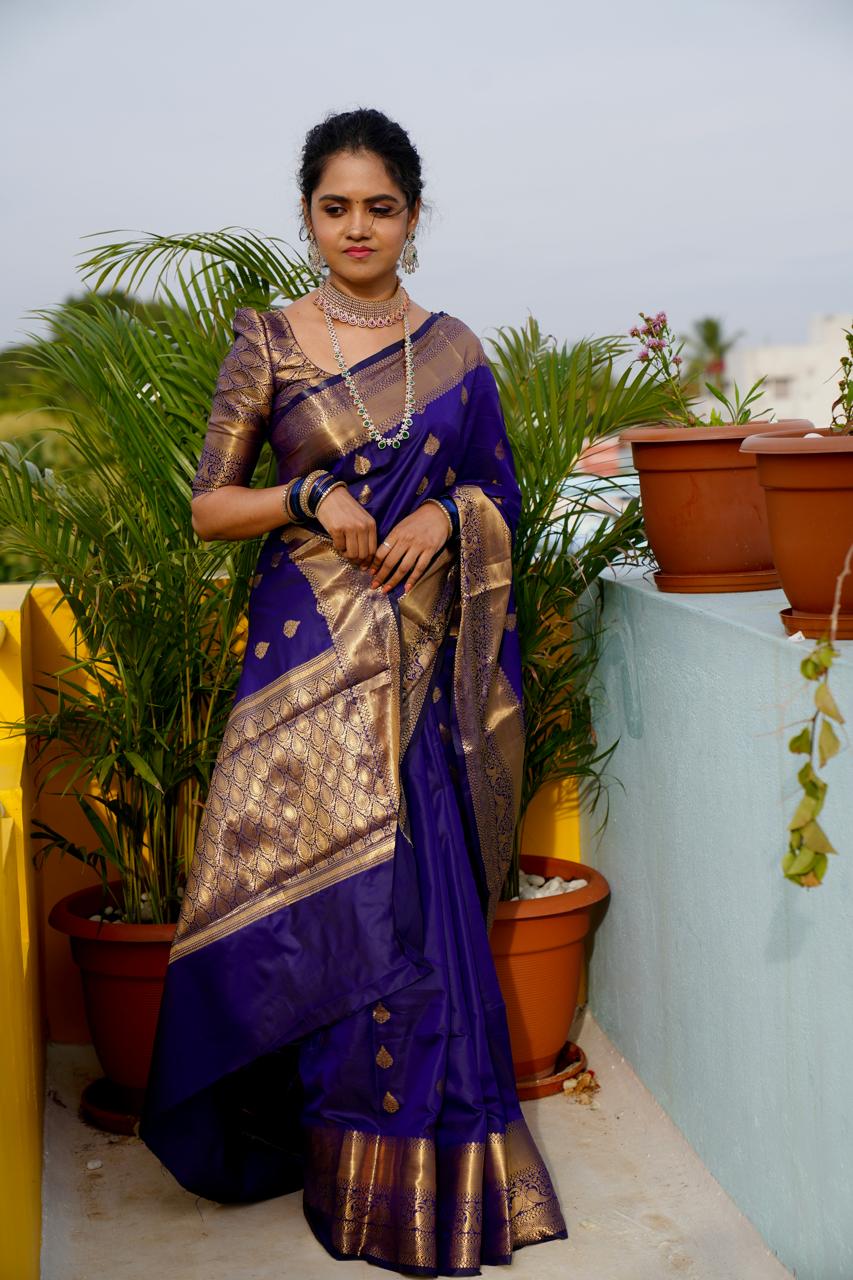 Soft silk saree Prebook🥳