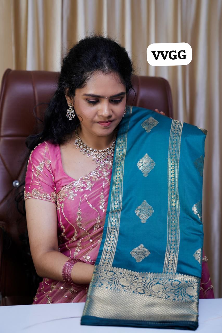 Soft silk saree with Monochrome borderš„³