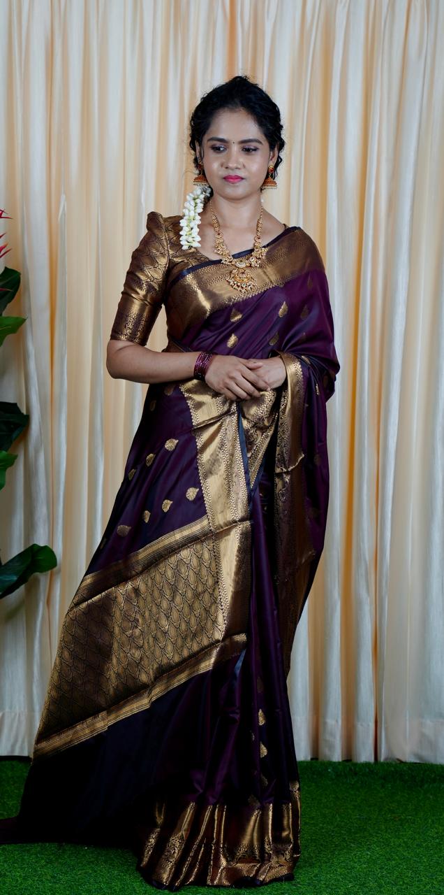 Soft silk saree prebook 🥳