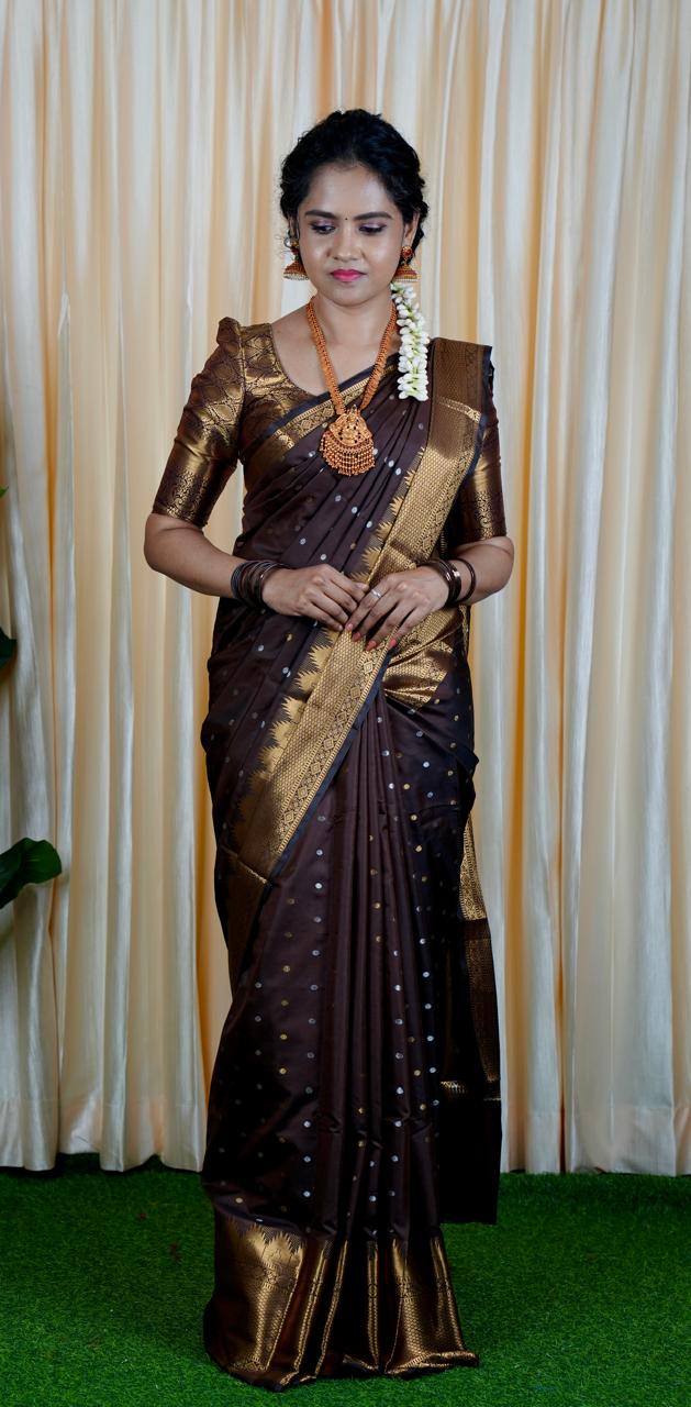 Soft silk saree Prebook š„³