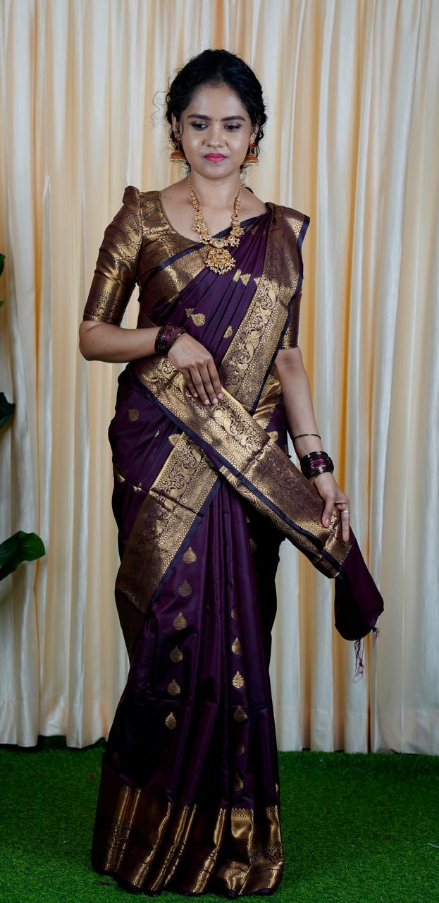 Soft silk saree prebook 🥳