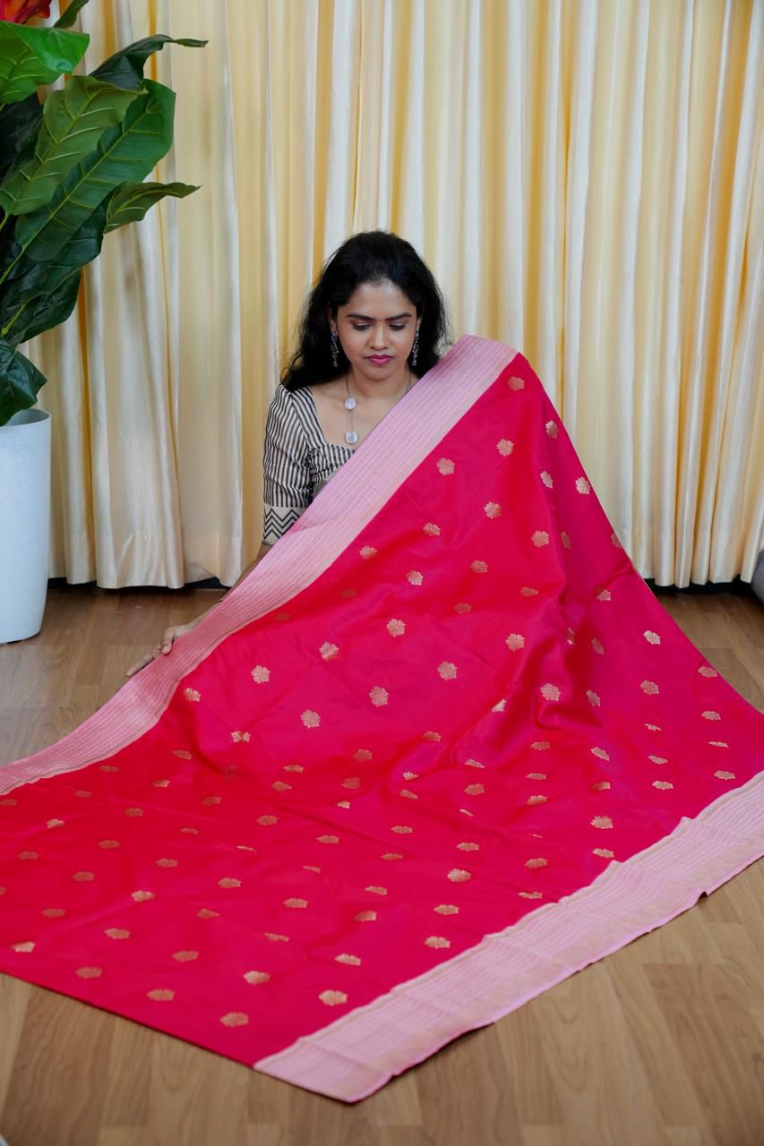 Premium Kanchi silk sarees π₯°ππ