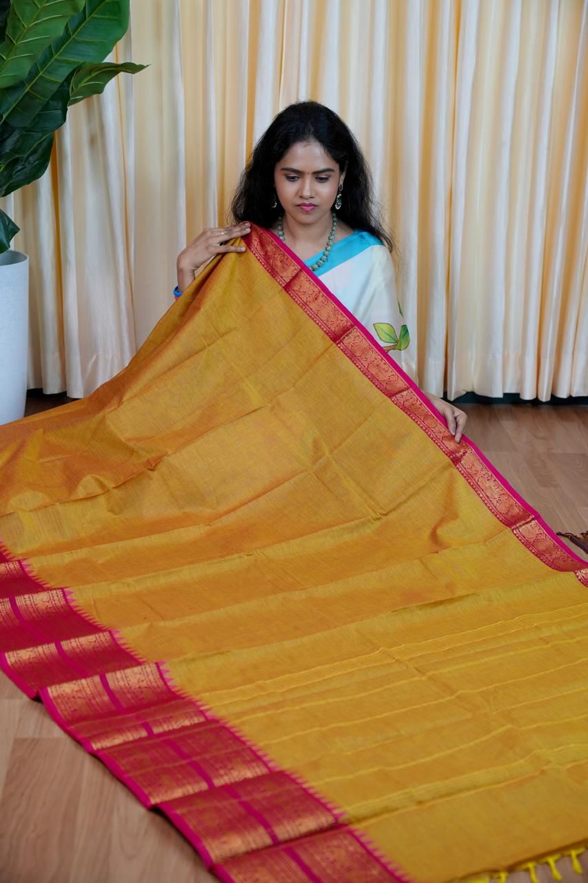 Premium Kanchi cotton saree 🎁
