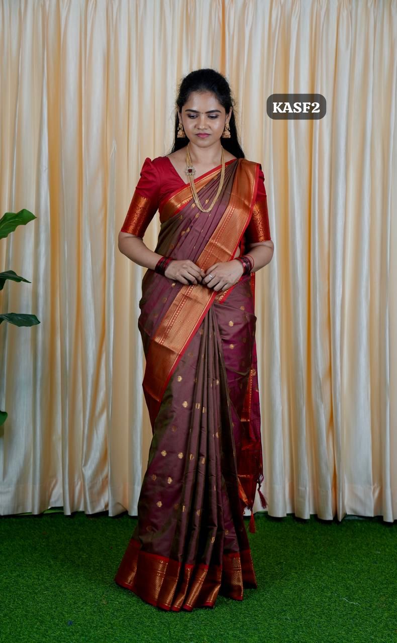 Kalyani Soft silk 🍄✅😍