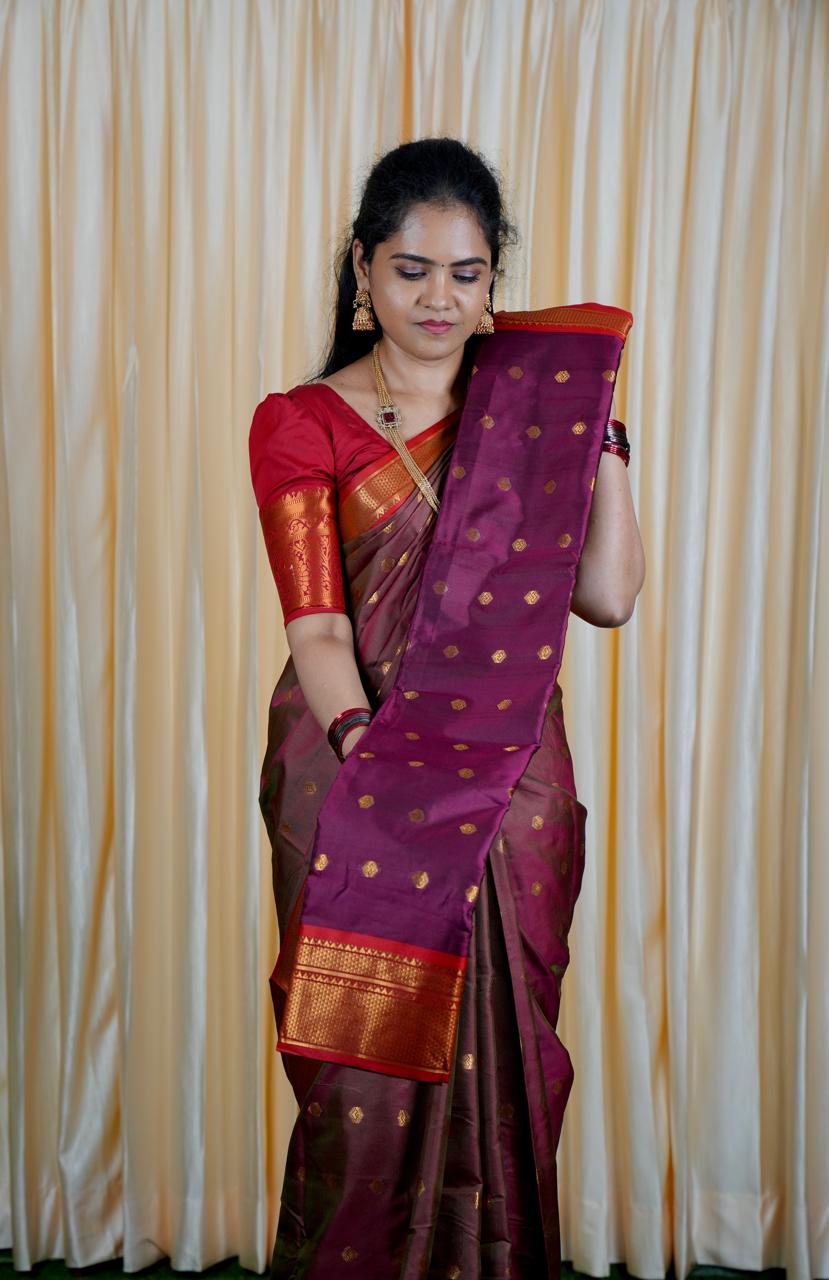 Kalyani Soft silk Saree👇