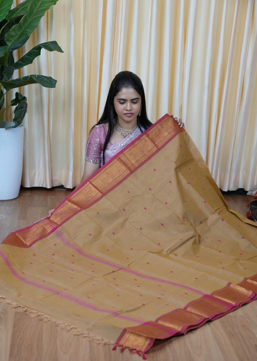 Kanchi cotton sarees🥰😎