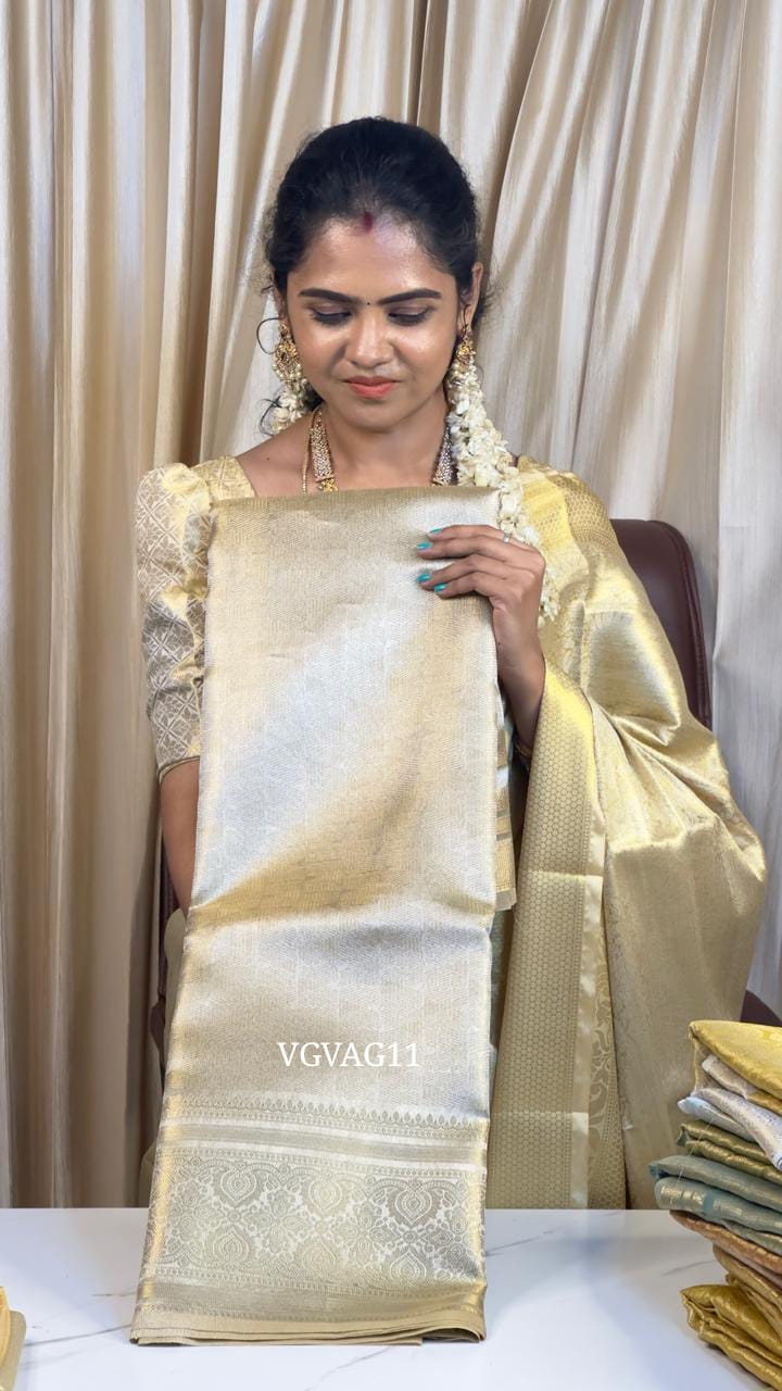 Katan tissue saree š„³