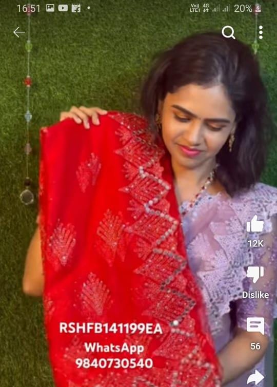 Nett saree❌