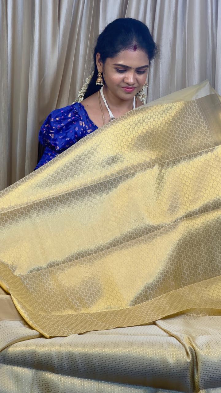 Nayanthara inspired soft katan sarees shade❌