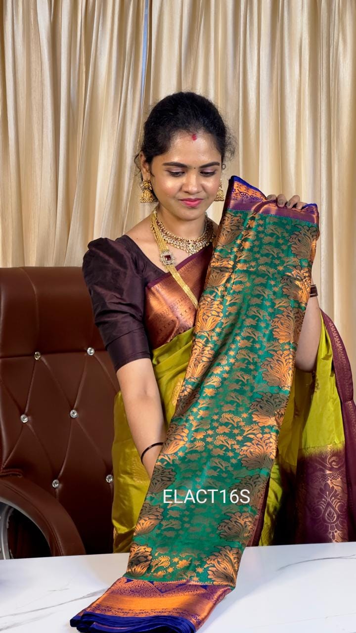 Nikki Galrani inspired saree🫶