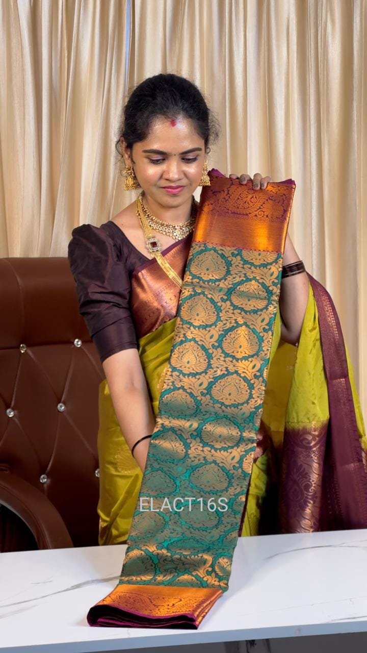 Nikki galrani sareeš«¶