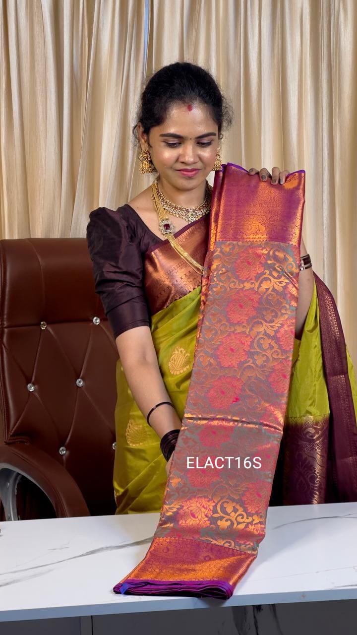 Nikki galrani sareeš«¶