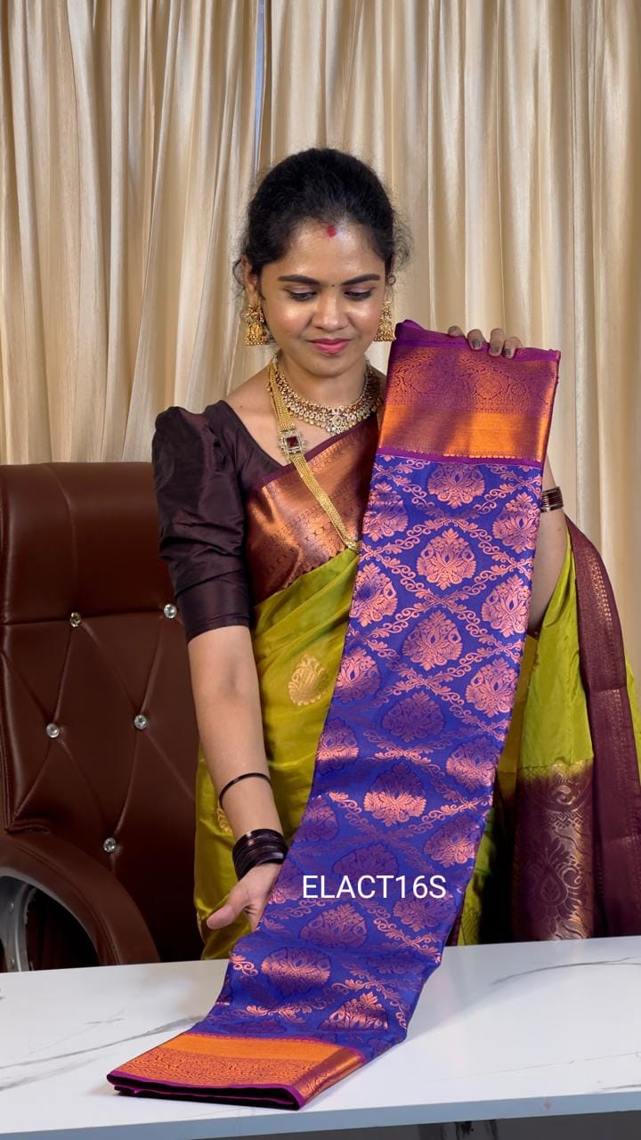 Nikki galrani saree❌