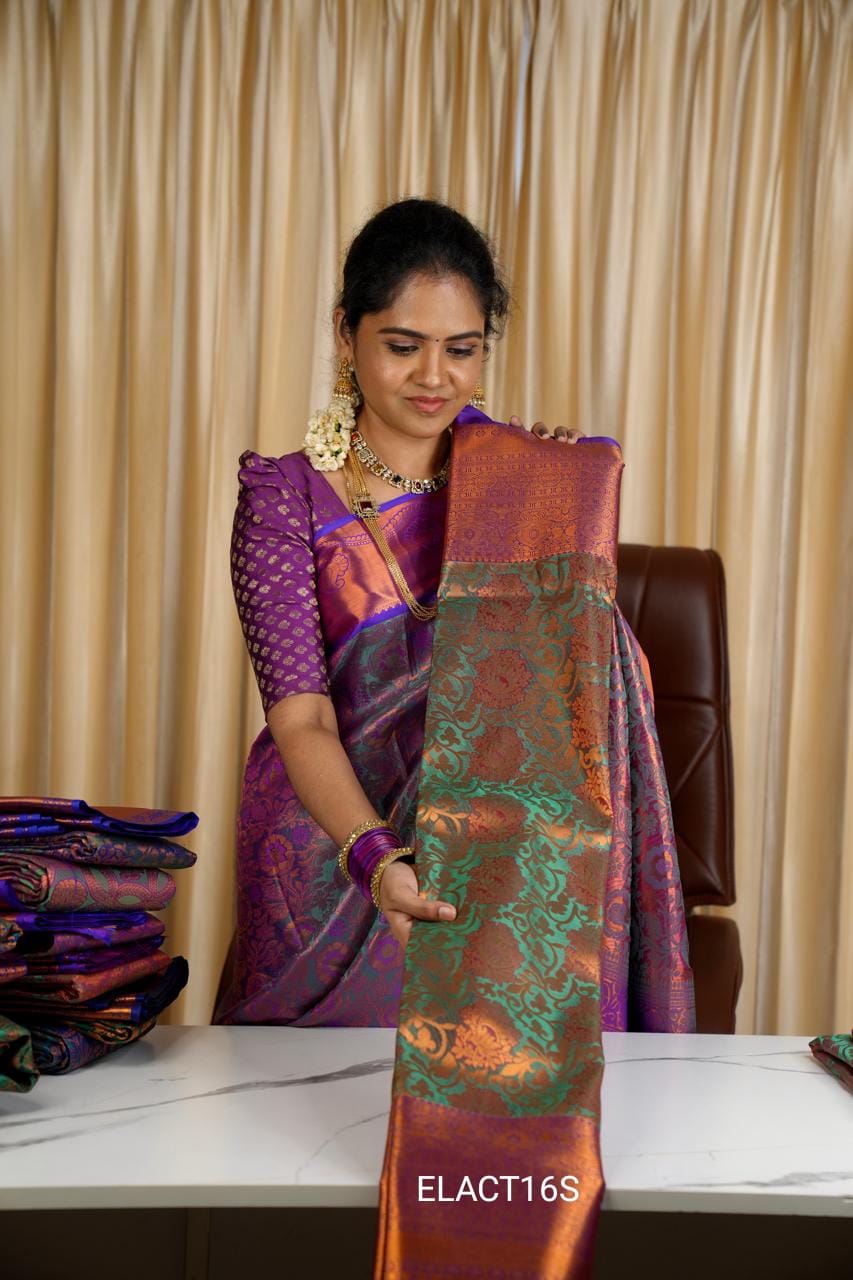 Nikki galrani sareešā