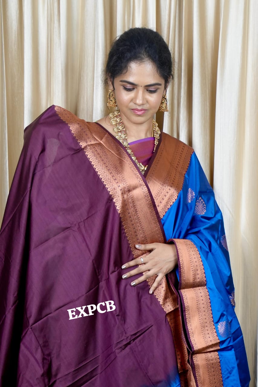 Semi silk sareeš„³