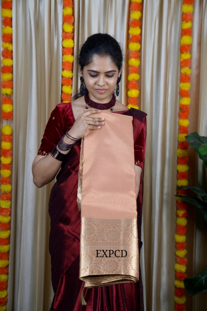 Tissue saree❌