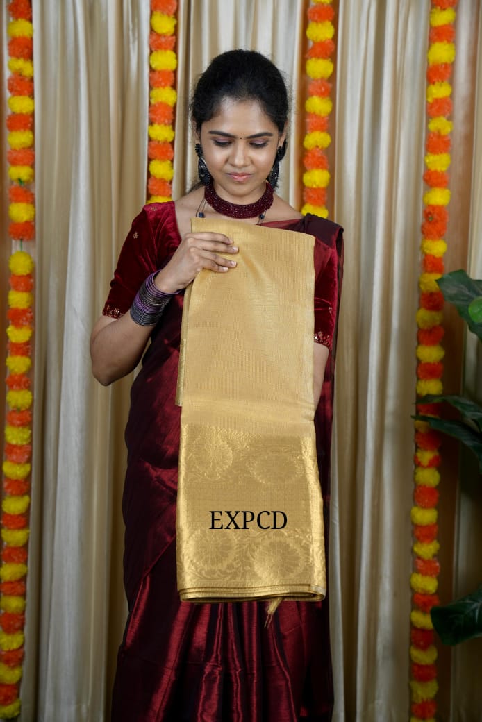 Tissue saree prebook ⌛