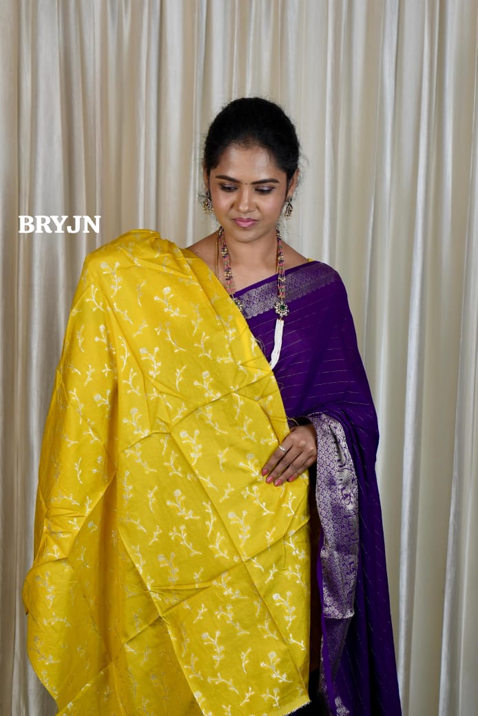 Warm silk saree 😊