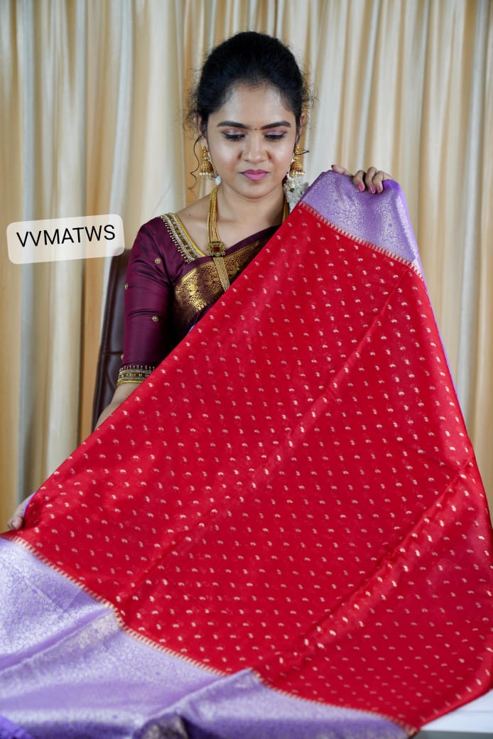 Warm silk saree prebook š„³
