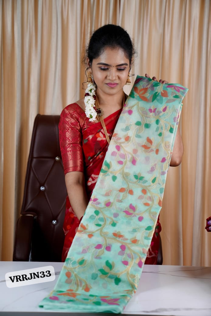Organza saree š„°