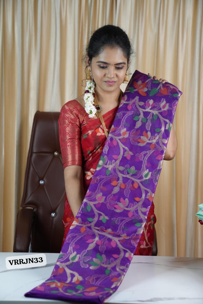 Organza saree šā