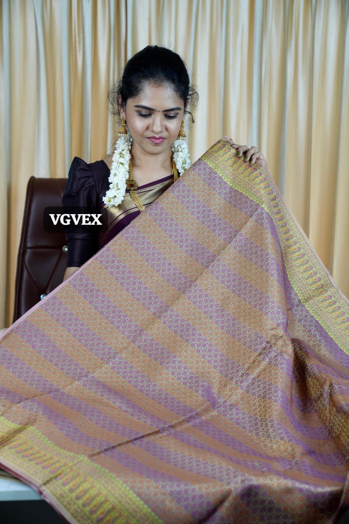Banarasi pure tussar prebook 🥳