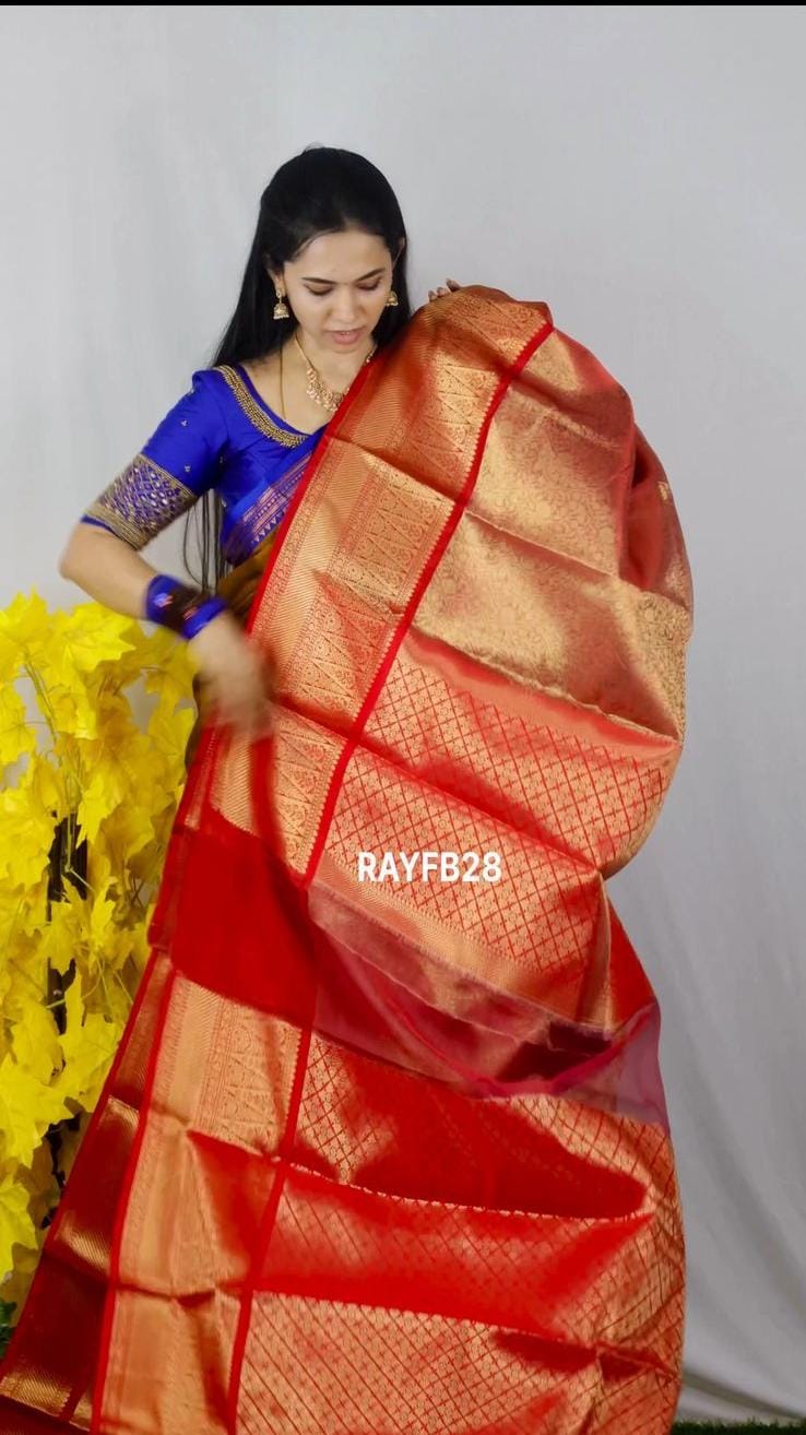 Bridal Katan tissue silk saree 🥳✅