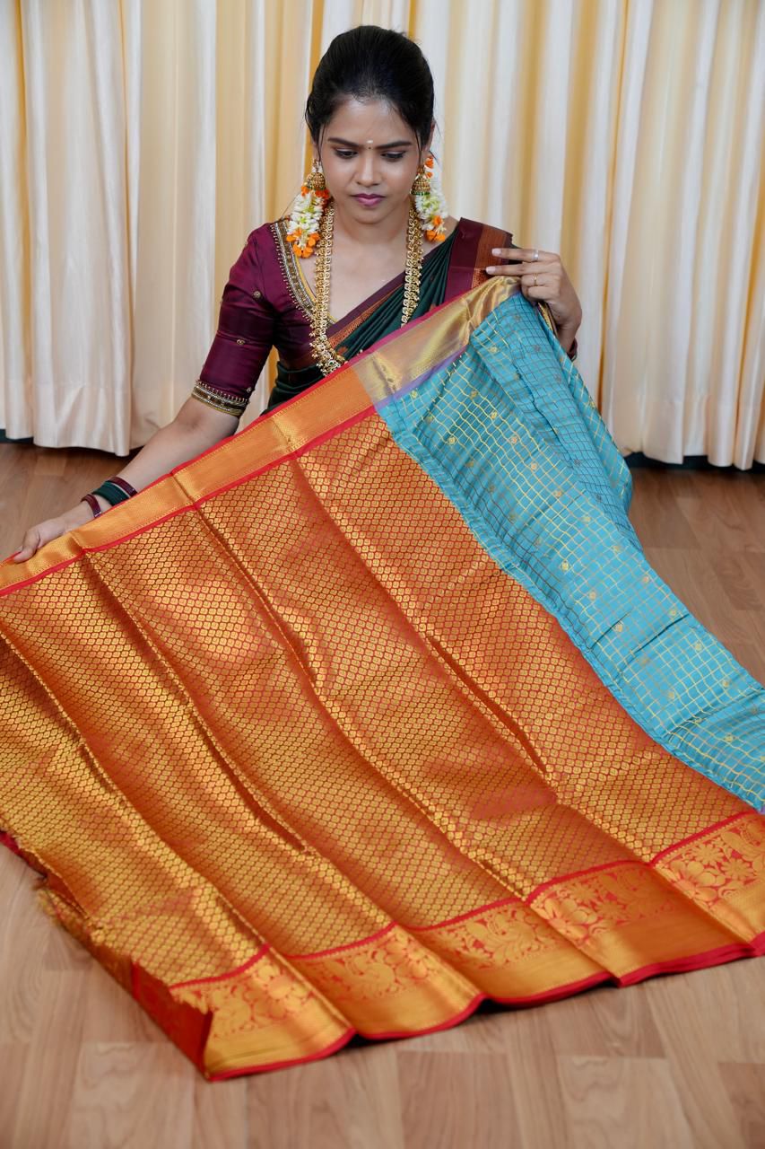 Katan silk saree🥳