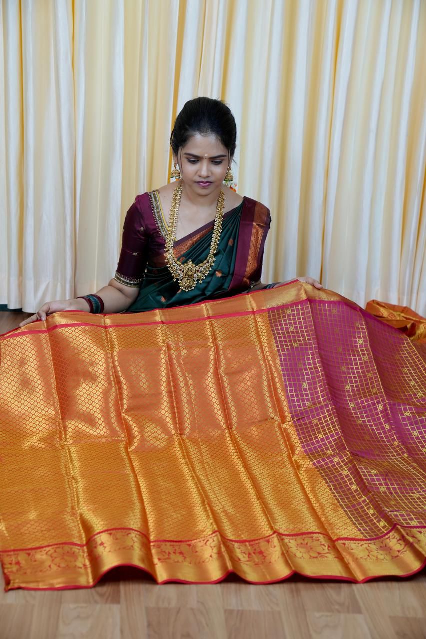 Katan silk saree🥳