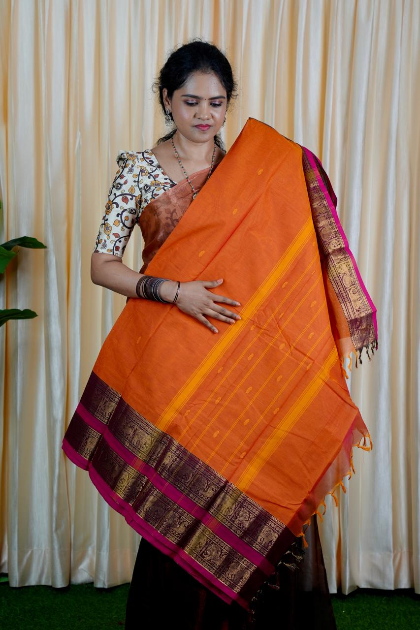 Kanchi Cotton saree❌