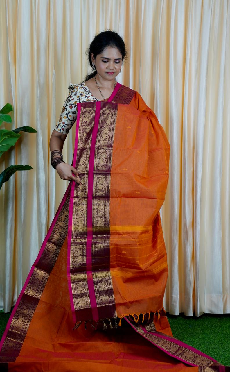 Kanchi Cotton saree❌