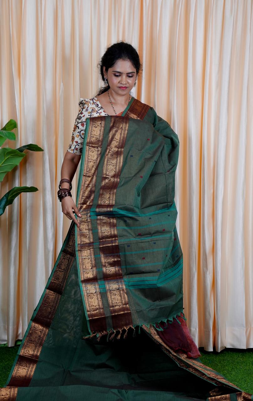 Kanchi cotton saree ❌