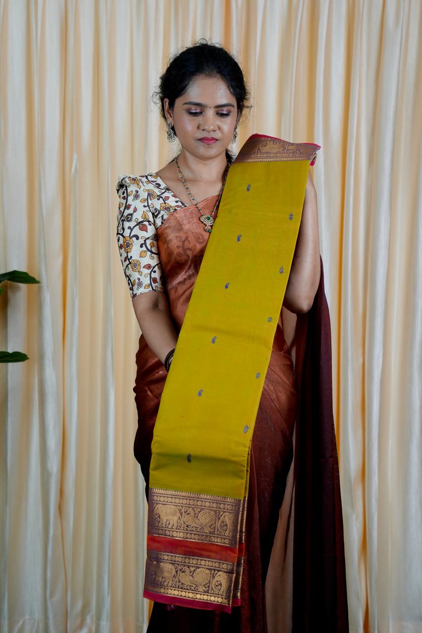 Kanchi cotton saree❌