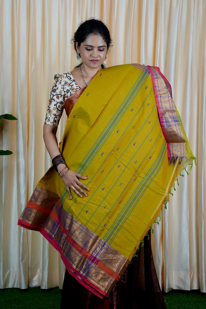 Kanchi cotton saree❌