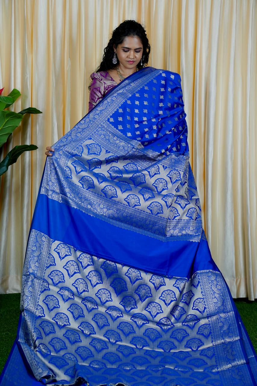 Banarasi silk sarees 🥰🥳