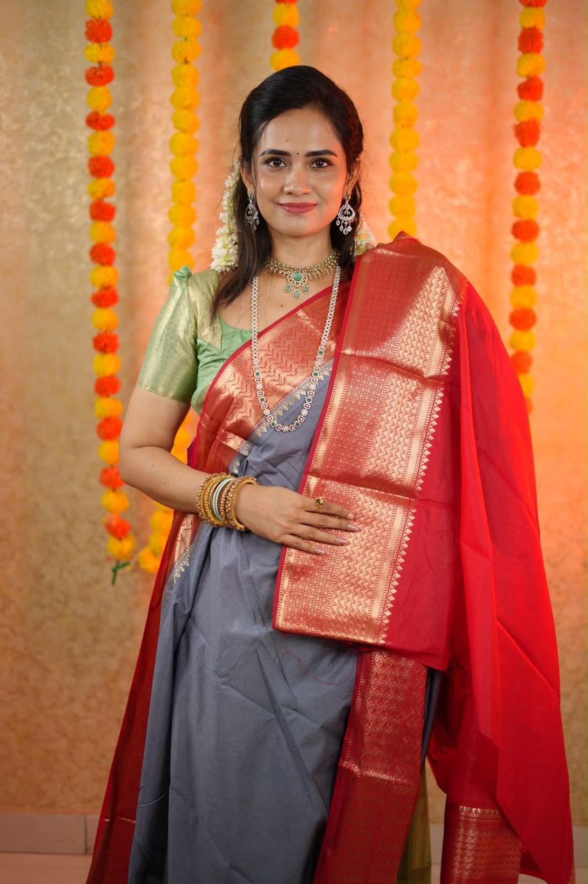Premium warm silk sareeš„³ prebook