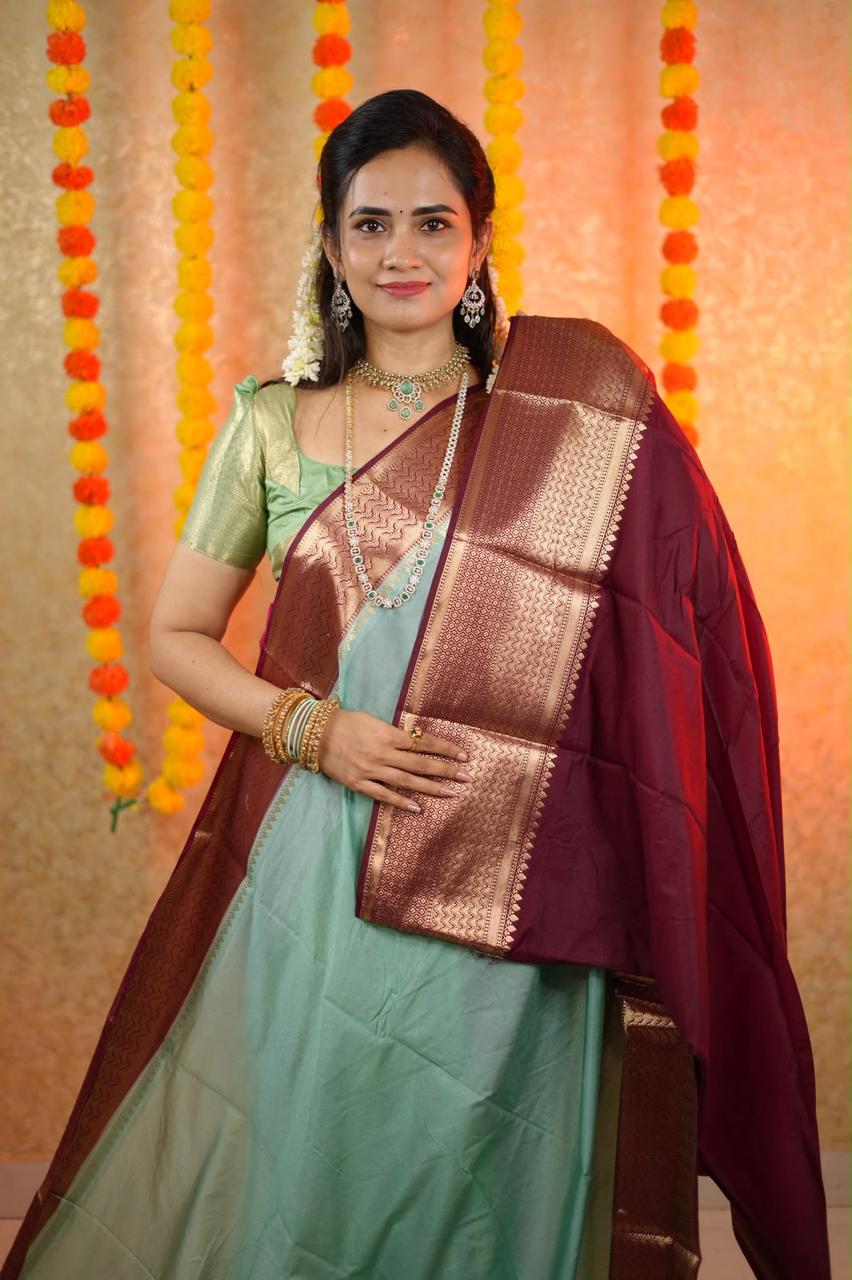 Premium warm silk sareeš„³