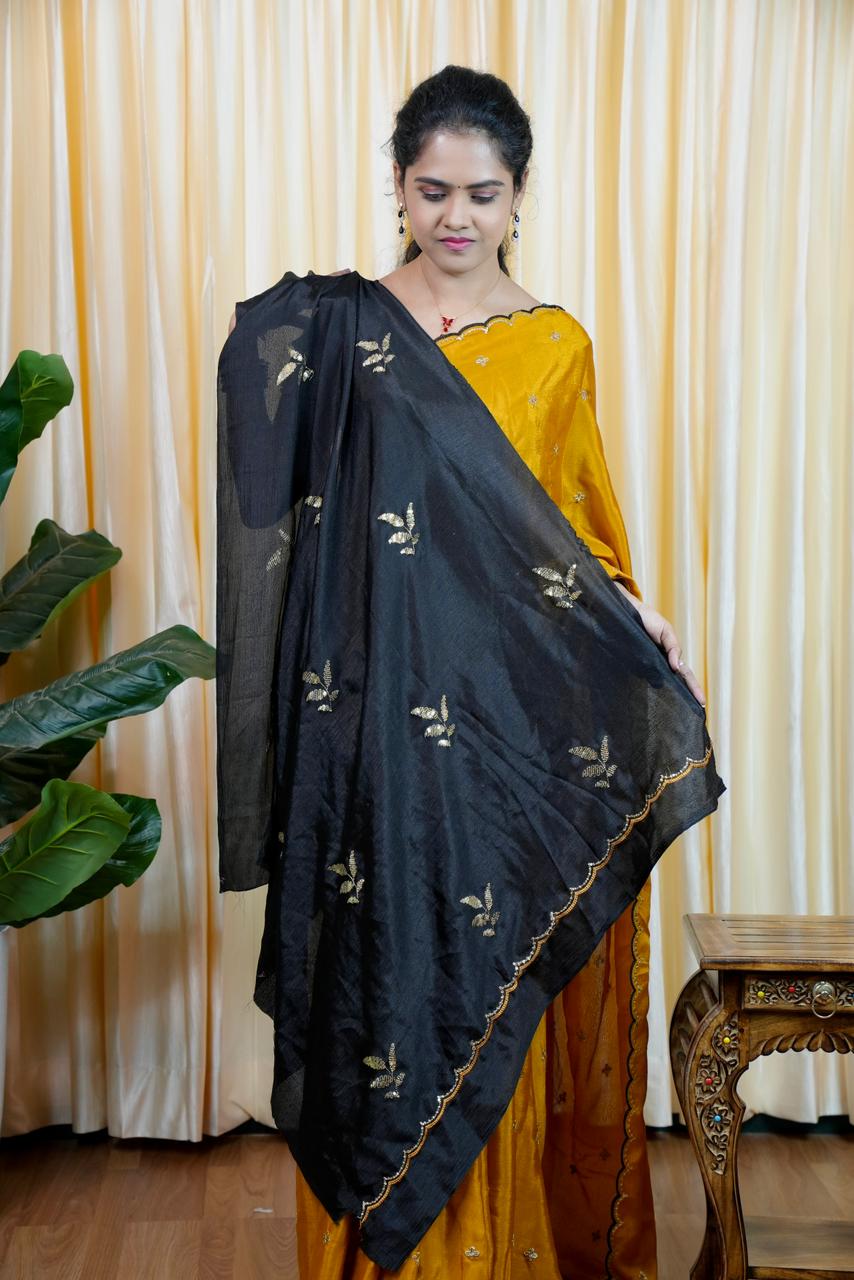 Soft chinnon with embroidery & sequence work🥳