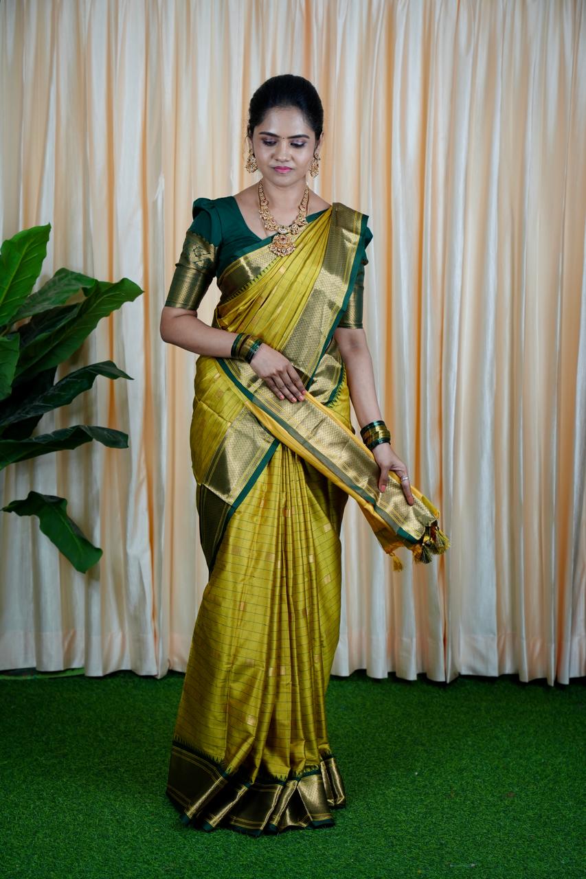 Kalyani silk saree with checks❌ saree NOT AVAILABLE
