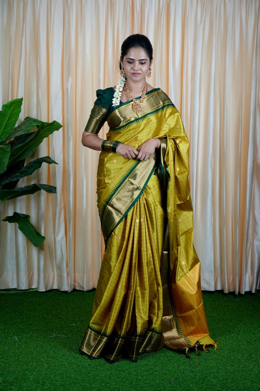 Kalyani silk saree with checks❌ saree NOT AVAILABLE
