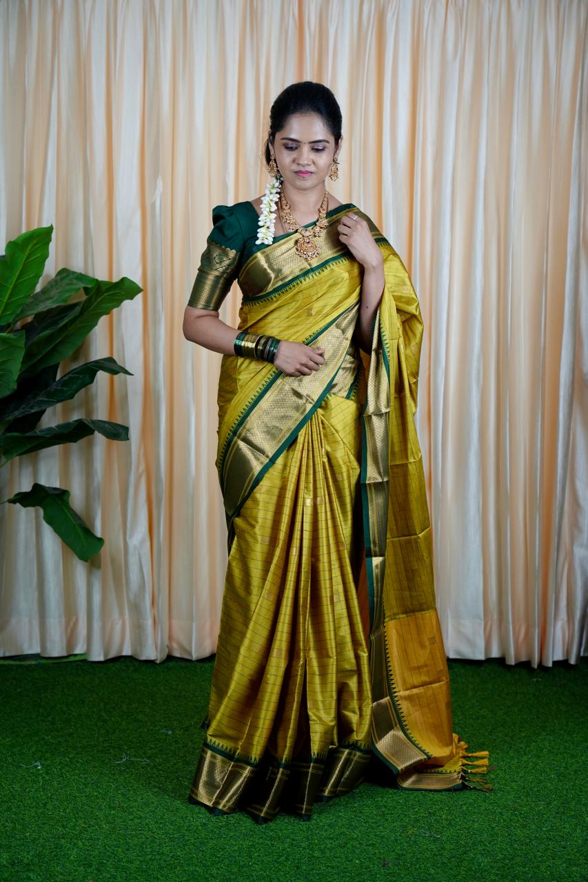 Kalyani silk saree with checks❌ saree NOT AVAILABLE