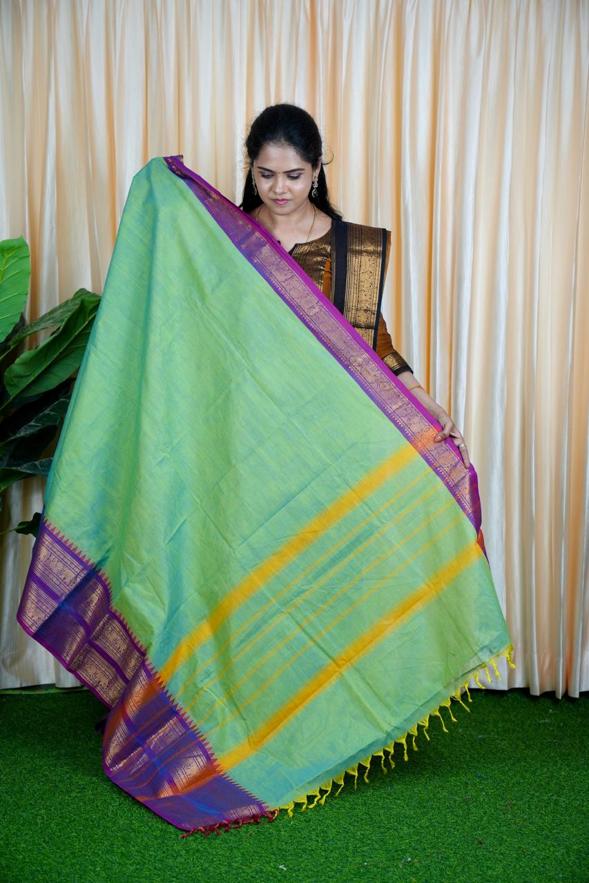 Kanchi cotton 🥰😎 light green with purple 💜