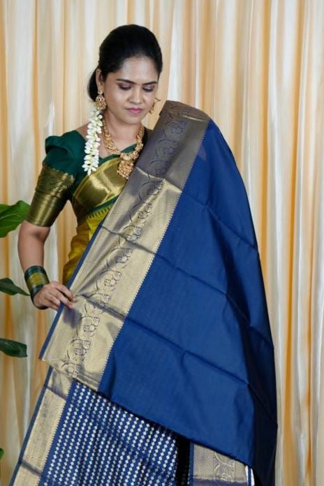 Sridevi inspired saree ( no animal figure)š„³ā