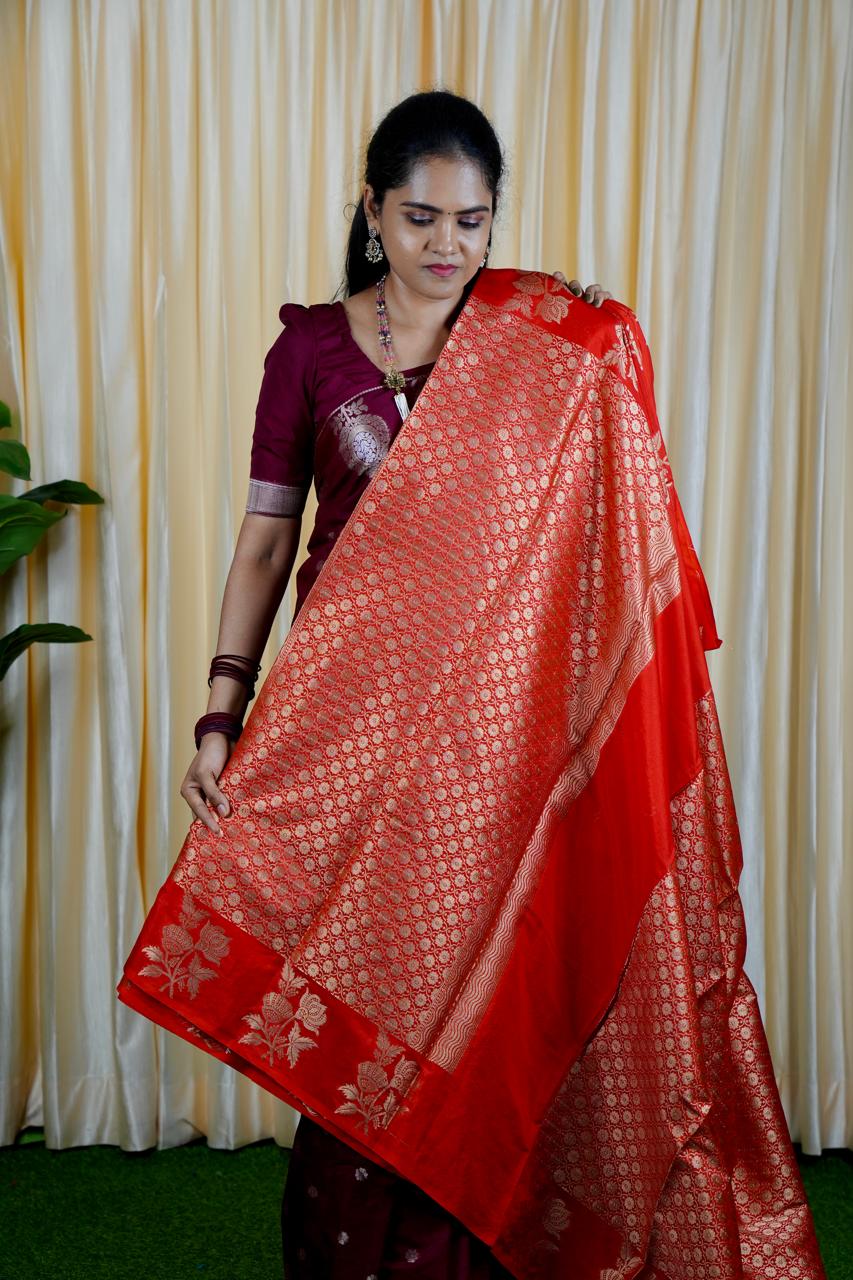 Soft warm Silk Saree 🥰🥳