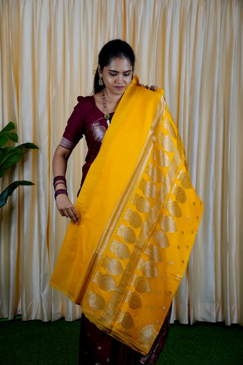 Soft warm Silk Saree 🥰🥳