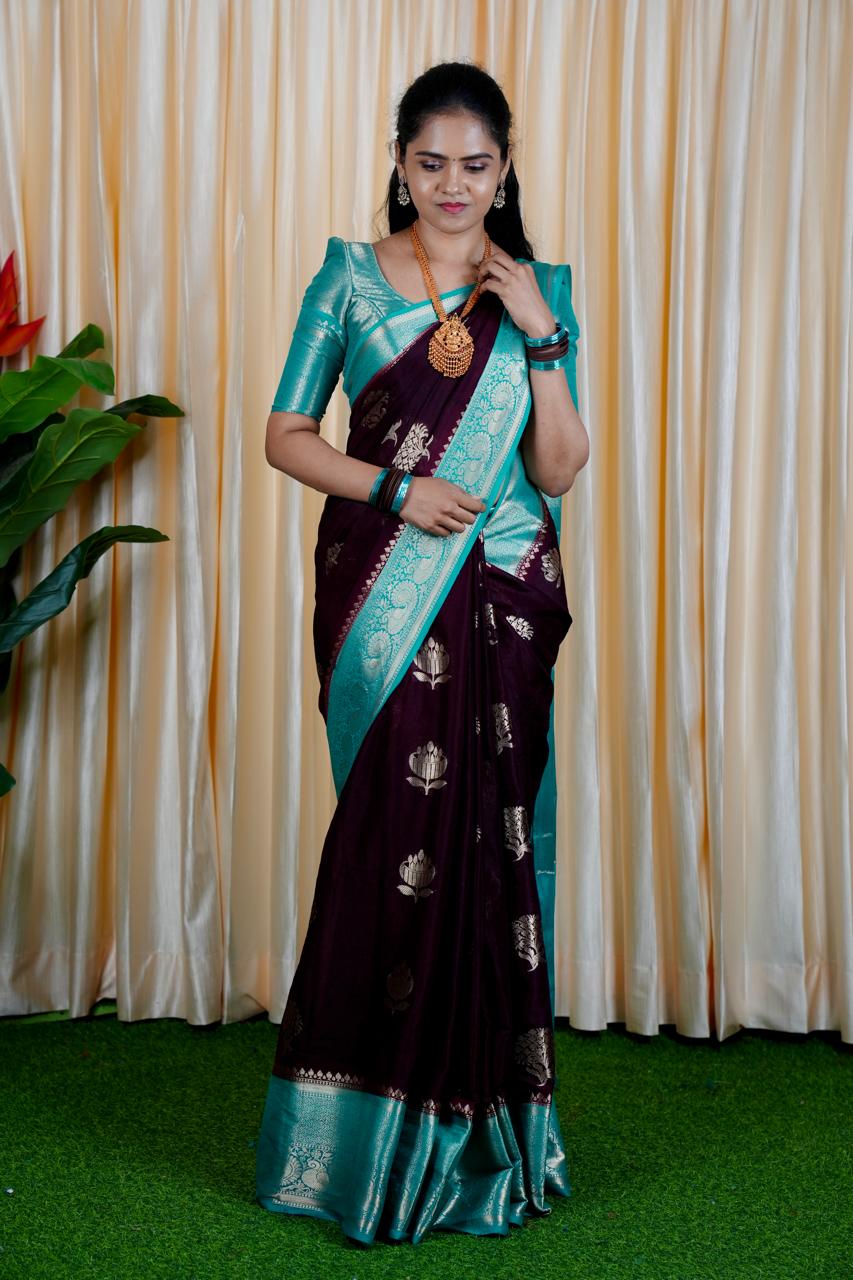 Premium Warm Silk Saree(no animal figure)🥳