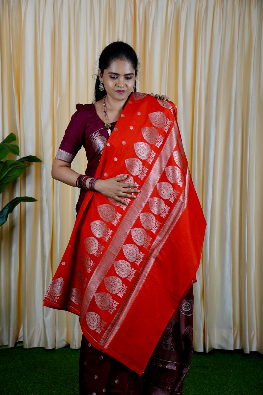 Soft warm Silk Saree 🥰🥳