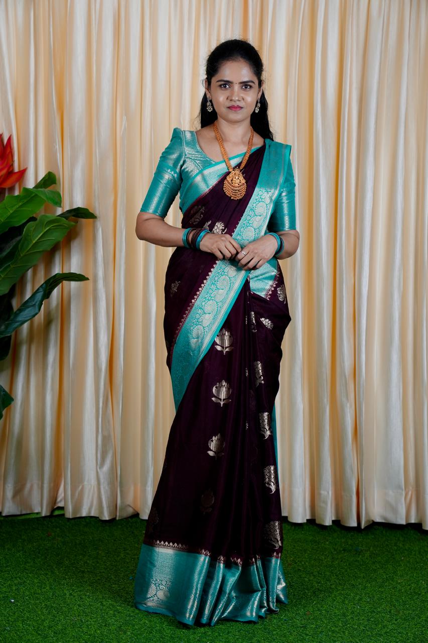 Premium Warm Silk Saree(no animal figure)🥳